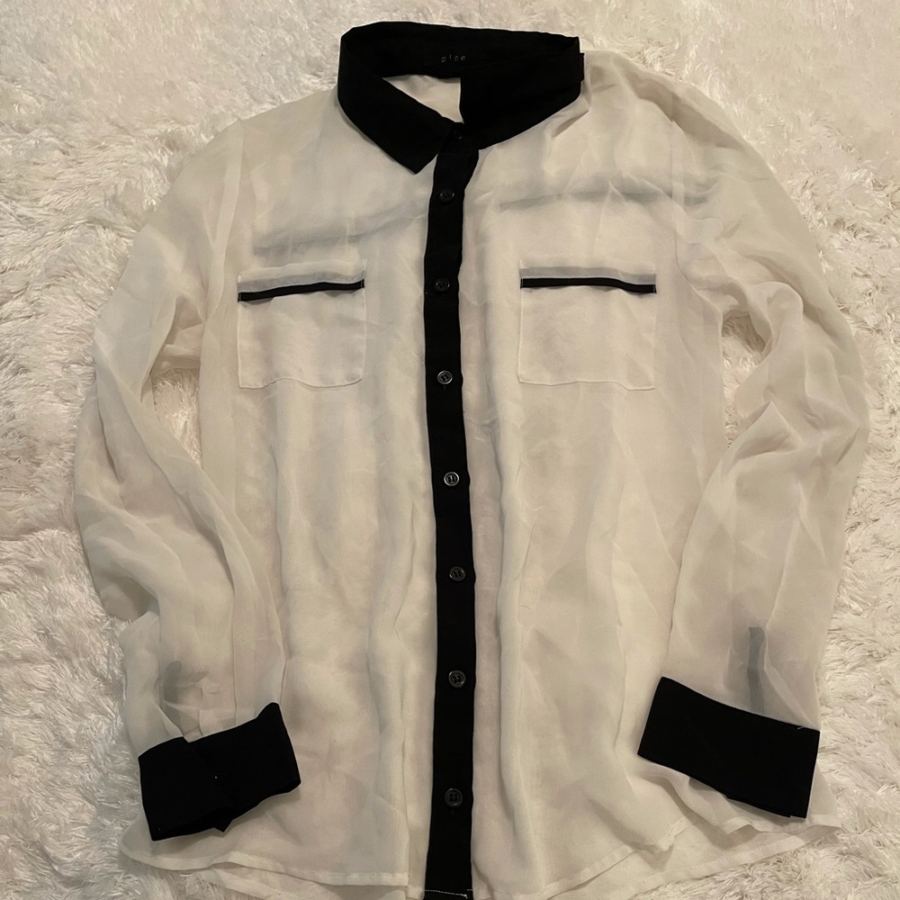 Sheer Button Down Blouse